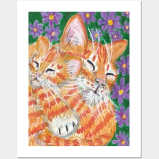 orange ginger kitten Posters and Art